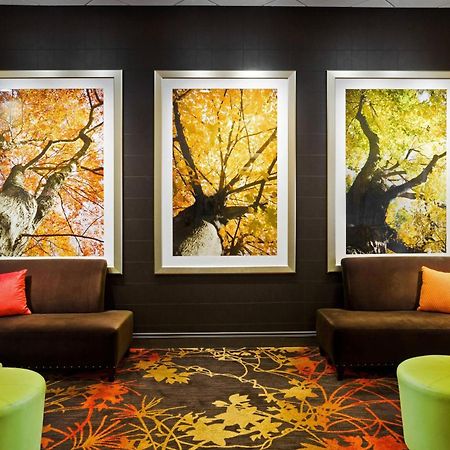 Sheraton Springfield Monarch Place Hotel Экстерьер фото